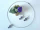 set bijuterii